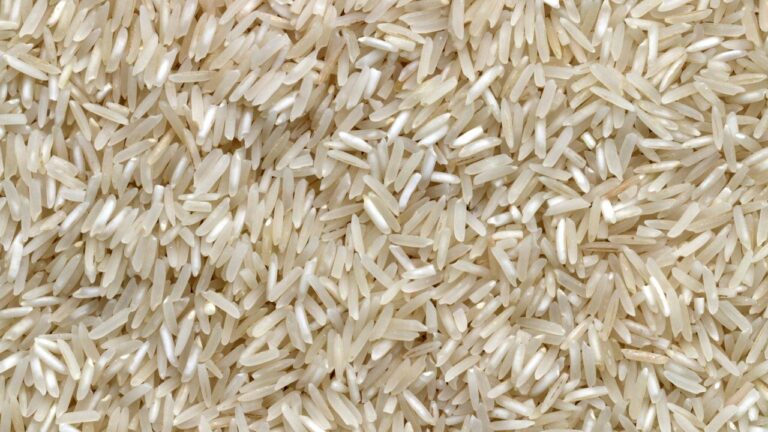 Anna Bhagya Scheme Karnataka 2026: ₹170 DBT Rice Cash & Status Check
